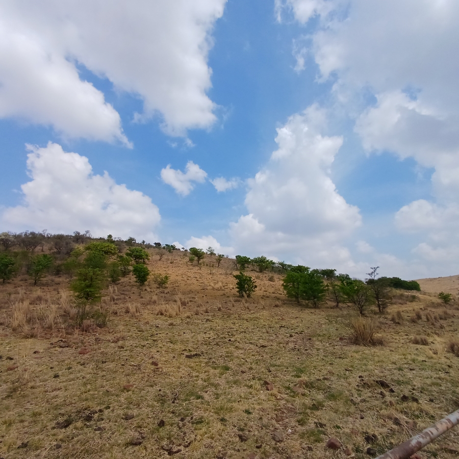 0 Bedroom Property for Sale in Lindequesdrif North West